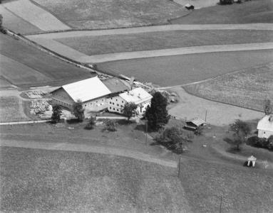 Thunhof Luftaufnahme 1957